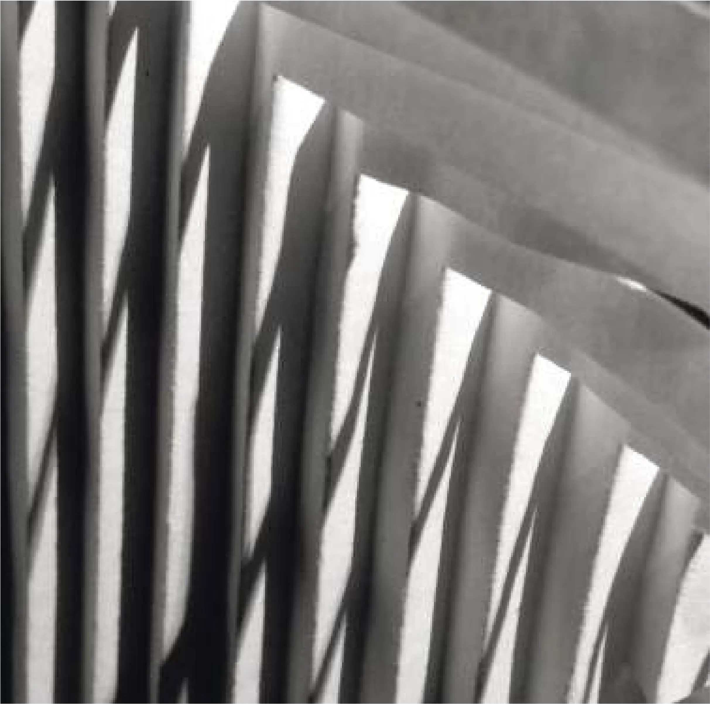 Experiment Show - Image 1