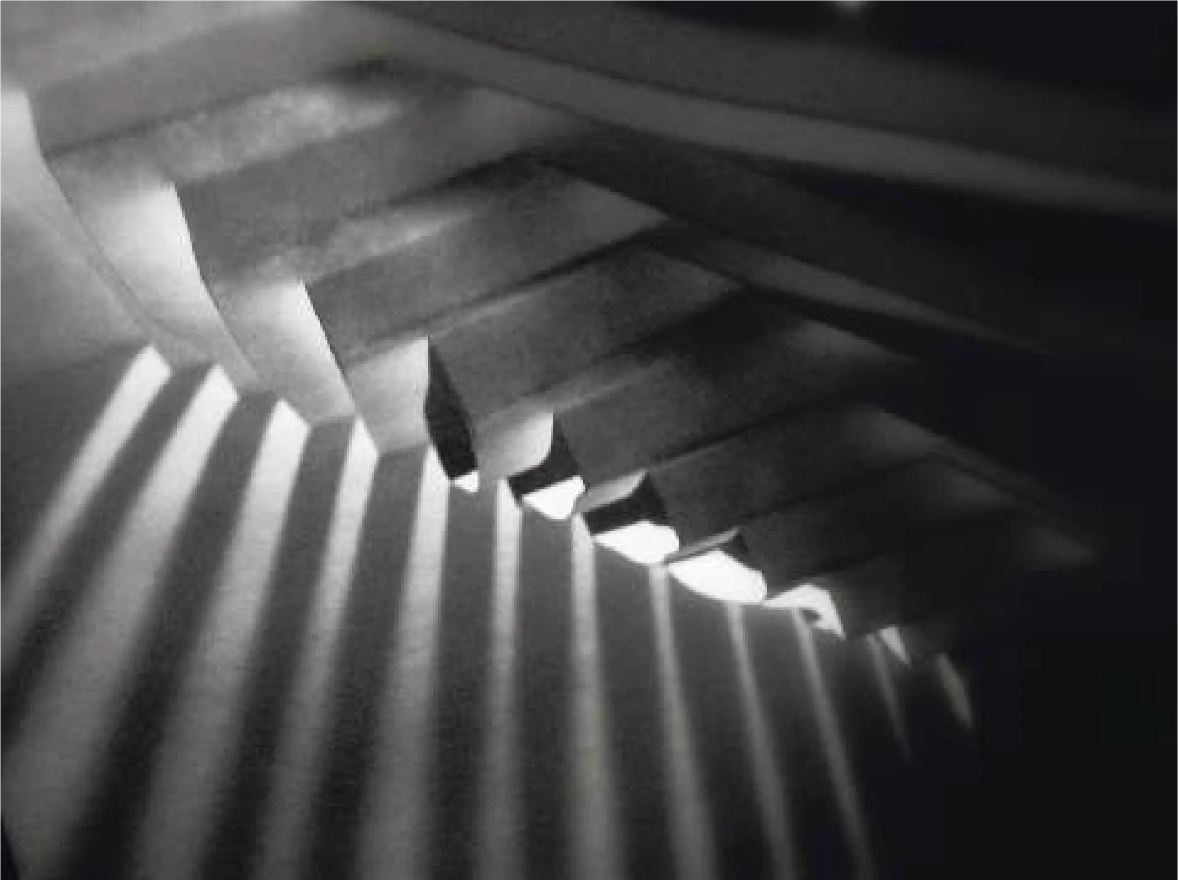 Experiment Show - Image 4