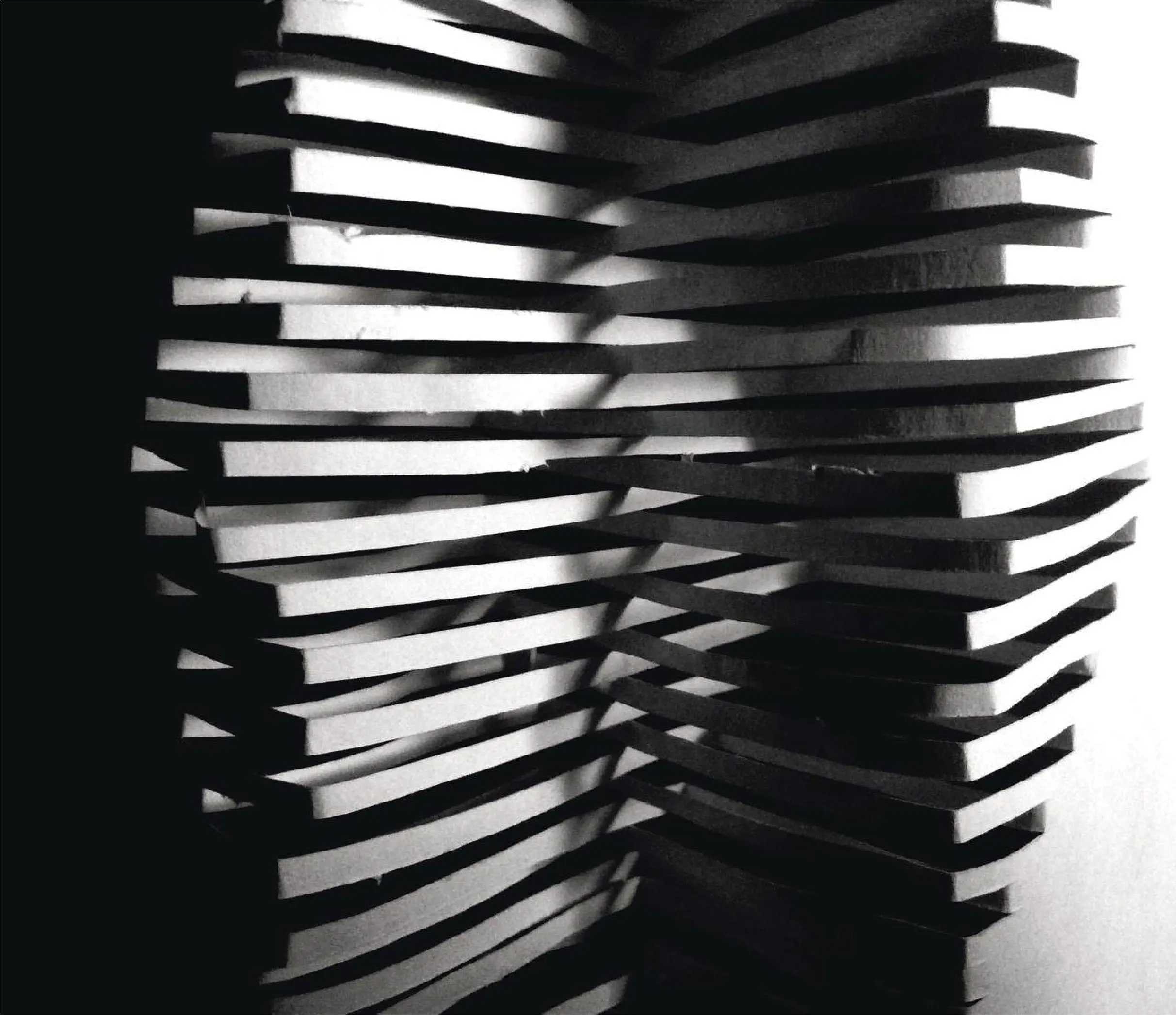 Experiment Show - Image 5